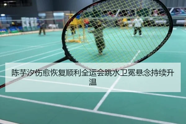 陈芋汐伤愈恢复顺利全运会跳水卫冕悬念持续升温
