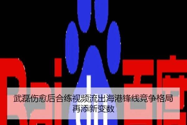 武磊伤愈后合练视频流出海港锋线竞争格局再添新变数